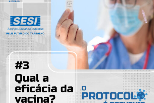 o protocolo prevenir