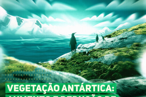 polarcast-vegetacao-antartica